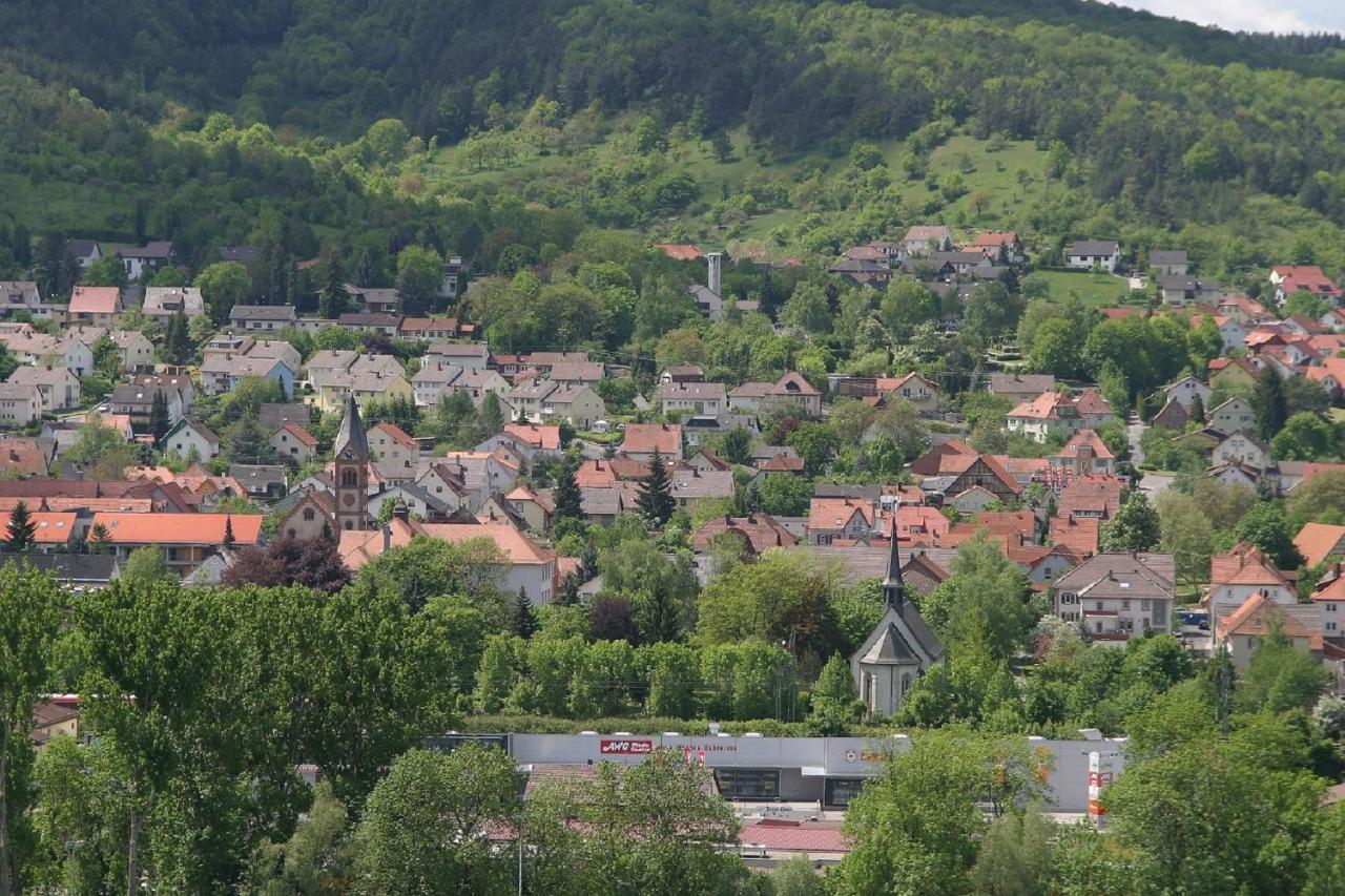 Ferienwohnung Haas Lauda-Königshofen Екстериор снимка